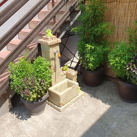 Apartman Djokic 2 Požarevac Εξωτερικό φωτογραφία