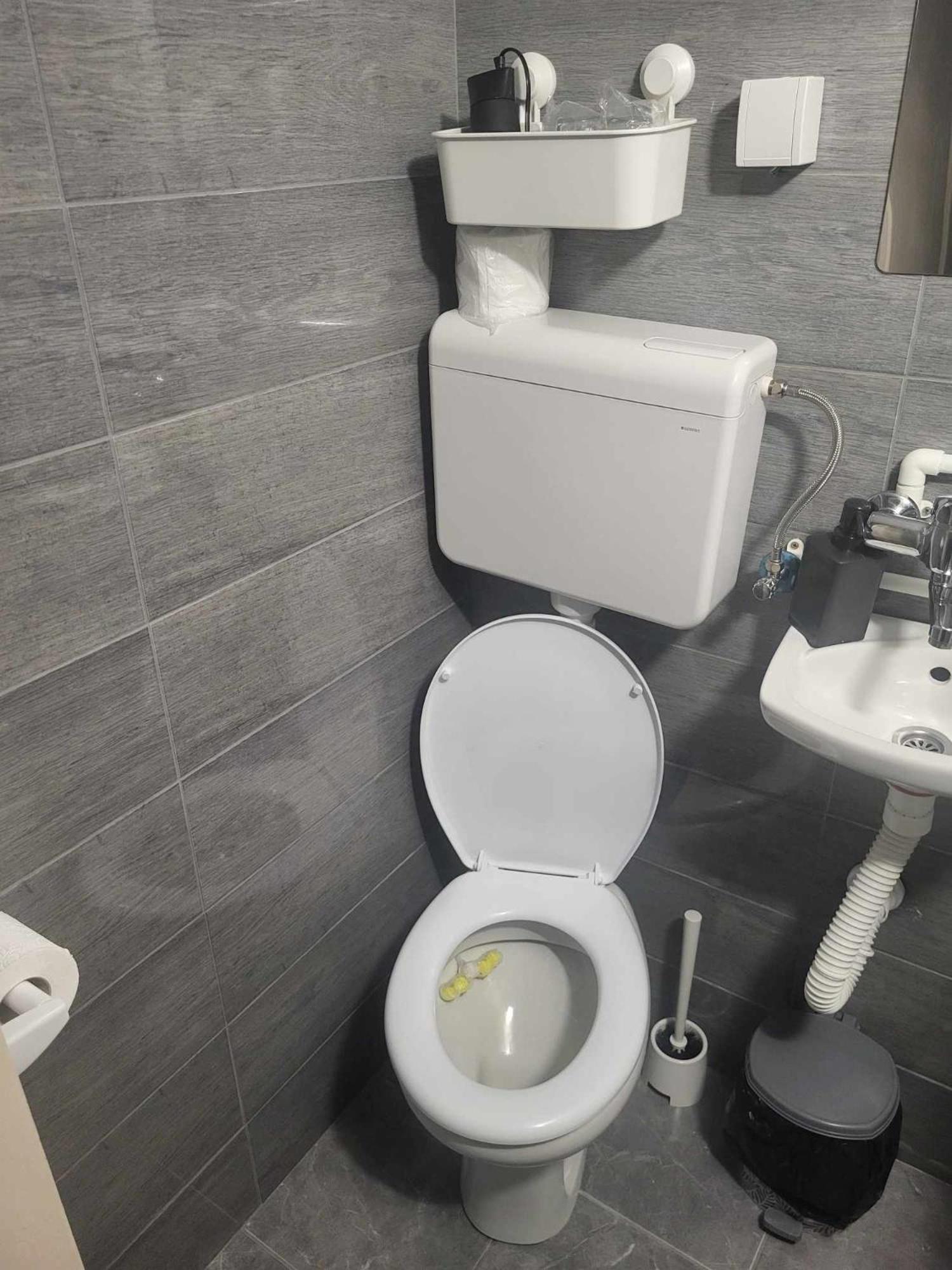 Apartman Djokic 2 Požarevac Εξωτερικό φωτογραφία