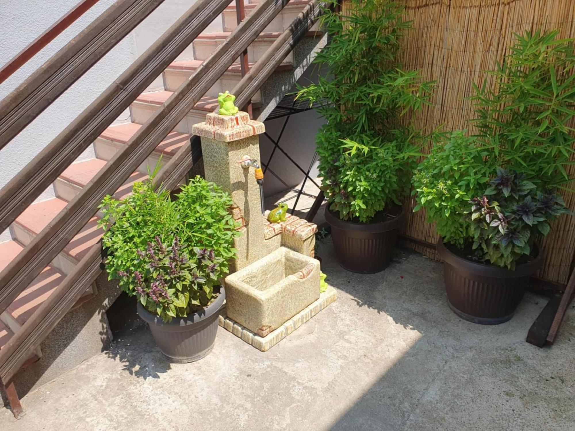 Apartman Djokic 2 Požarevac Εξωτερικό φωτογραφία